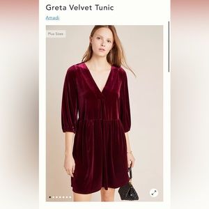 Anthro Amadi velvet dress